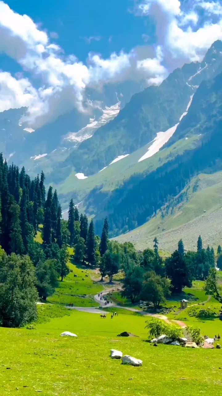 Kashmir 4N/5D
